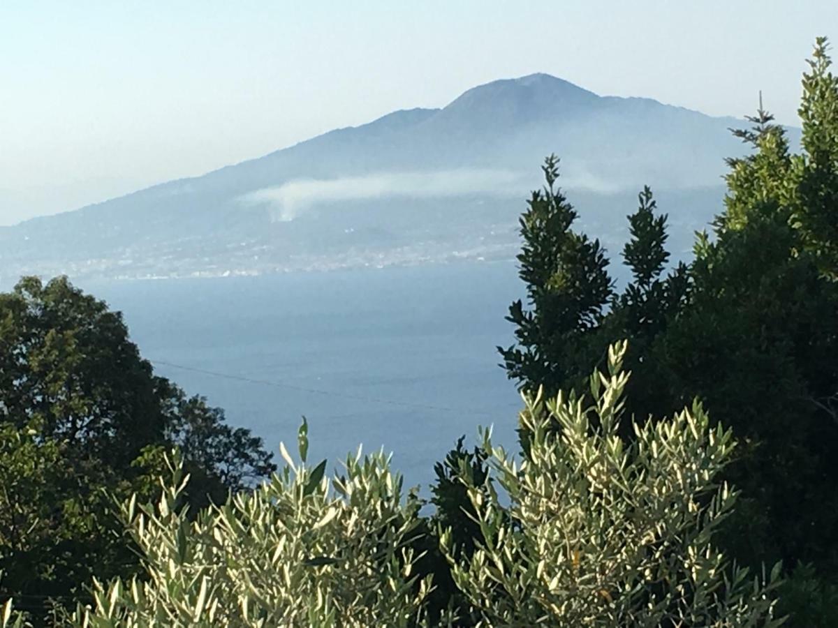 Villa Annabelle Sant'Agata sui due Golfi Luaran gambar